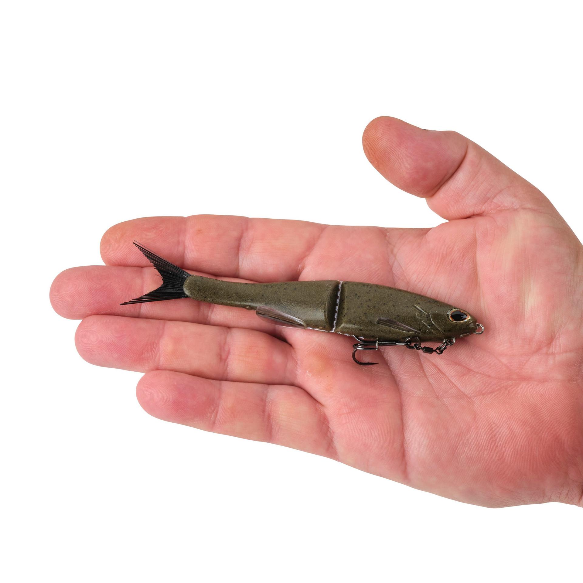 PowerBait? Nessie - Image 19