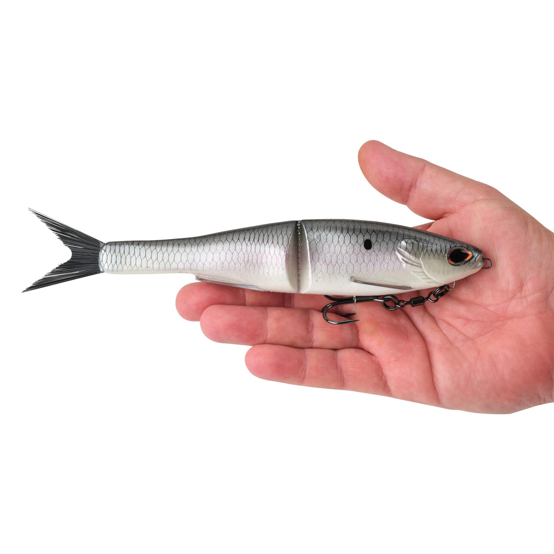 PowerBait? Nessie - Image 29