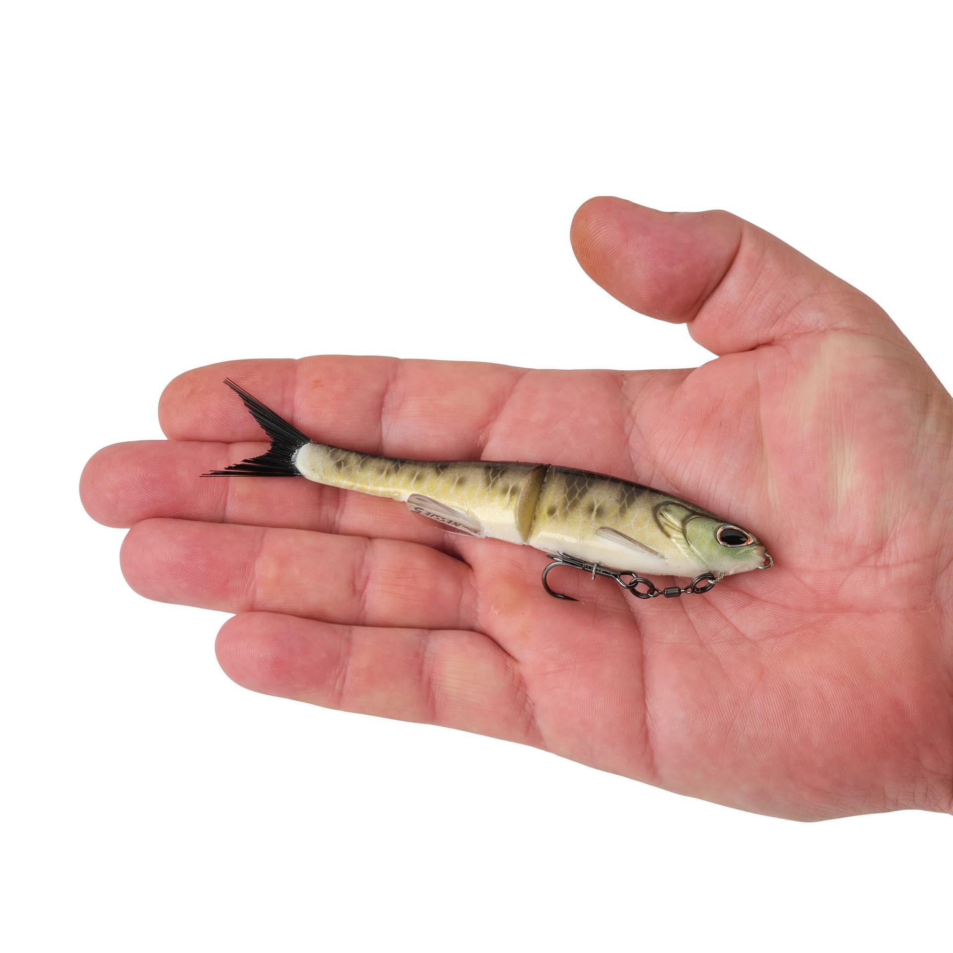 PowerBait? Nessie - Image 13