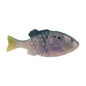 PowerBait? Saltwater Gilly