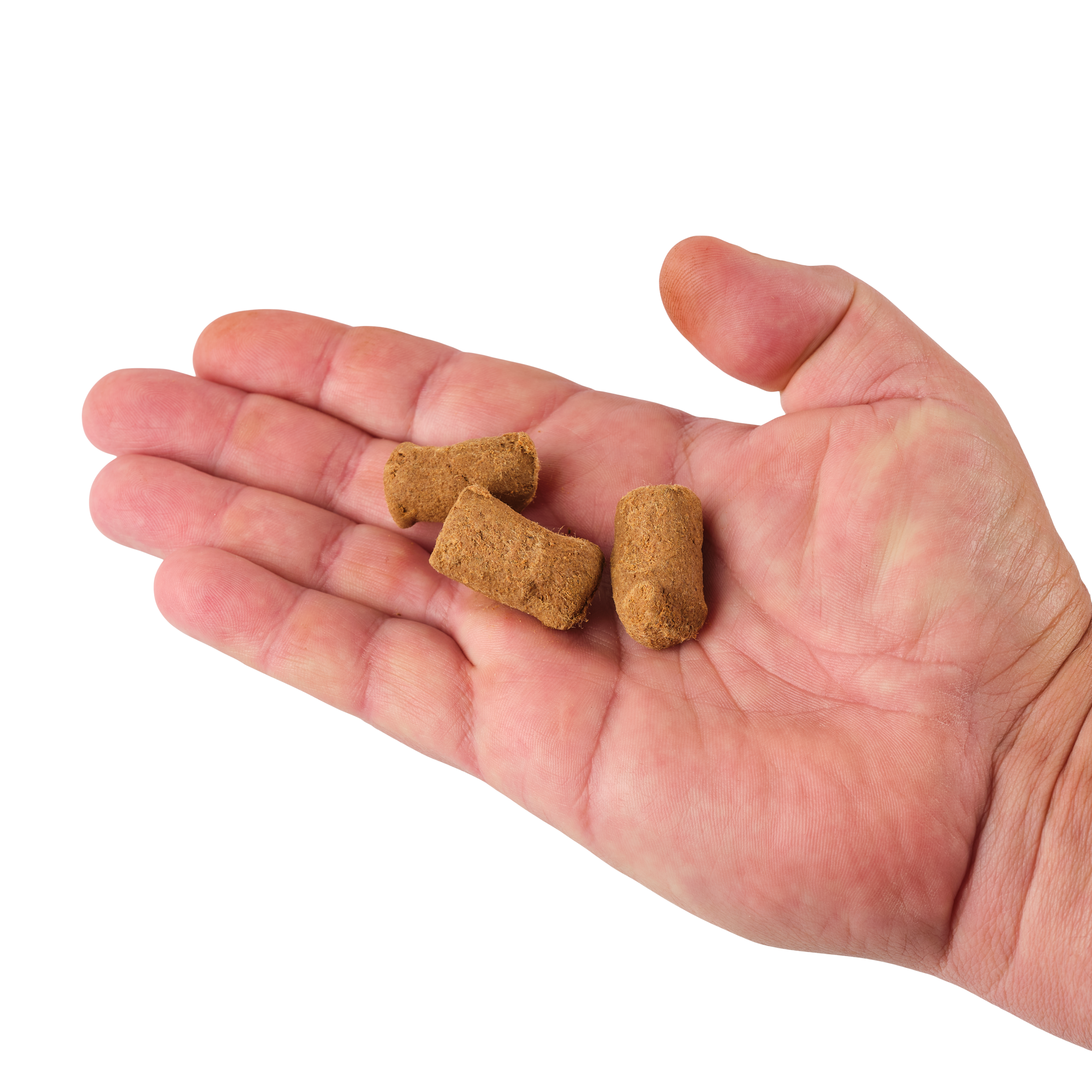 PowerBait? Catfish Bait Chunks - Image 7
