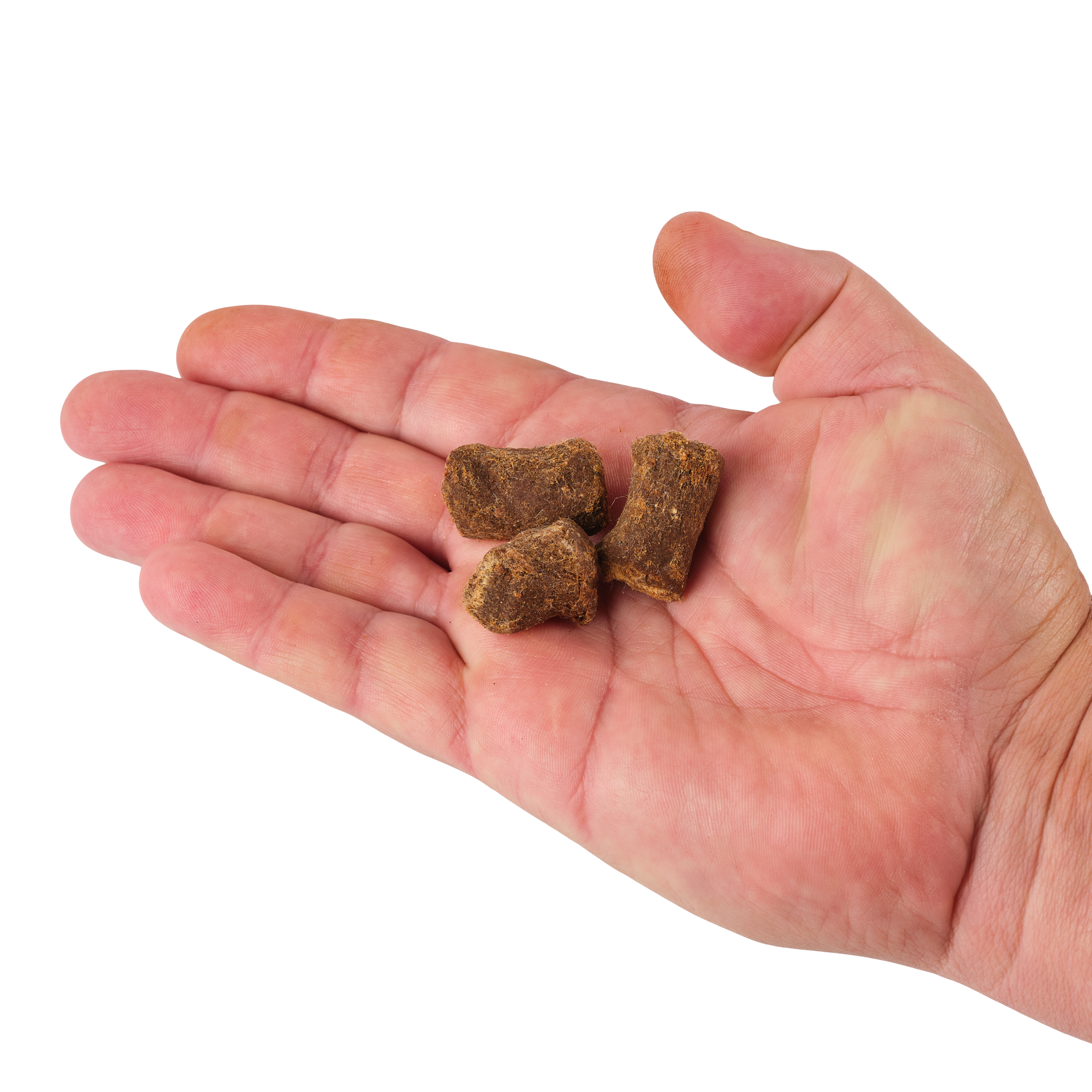 PowerBait? Catfish Bait Chunks - Image 9