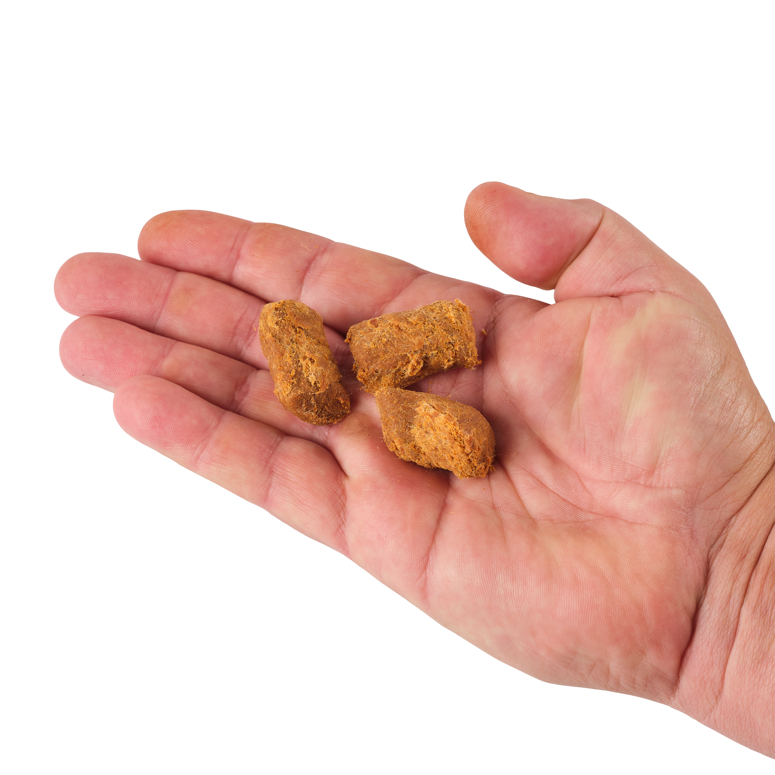 PowerBait? Catfish Bait Chunks - Image 11