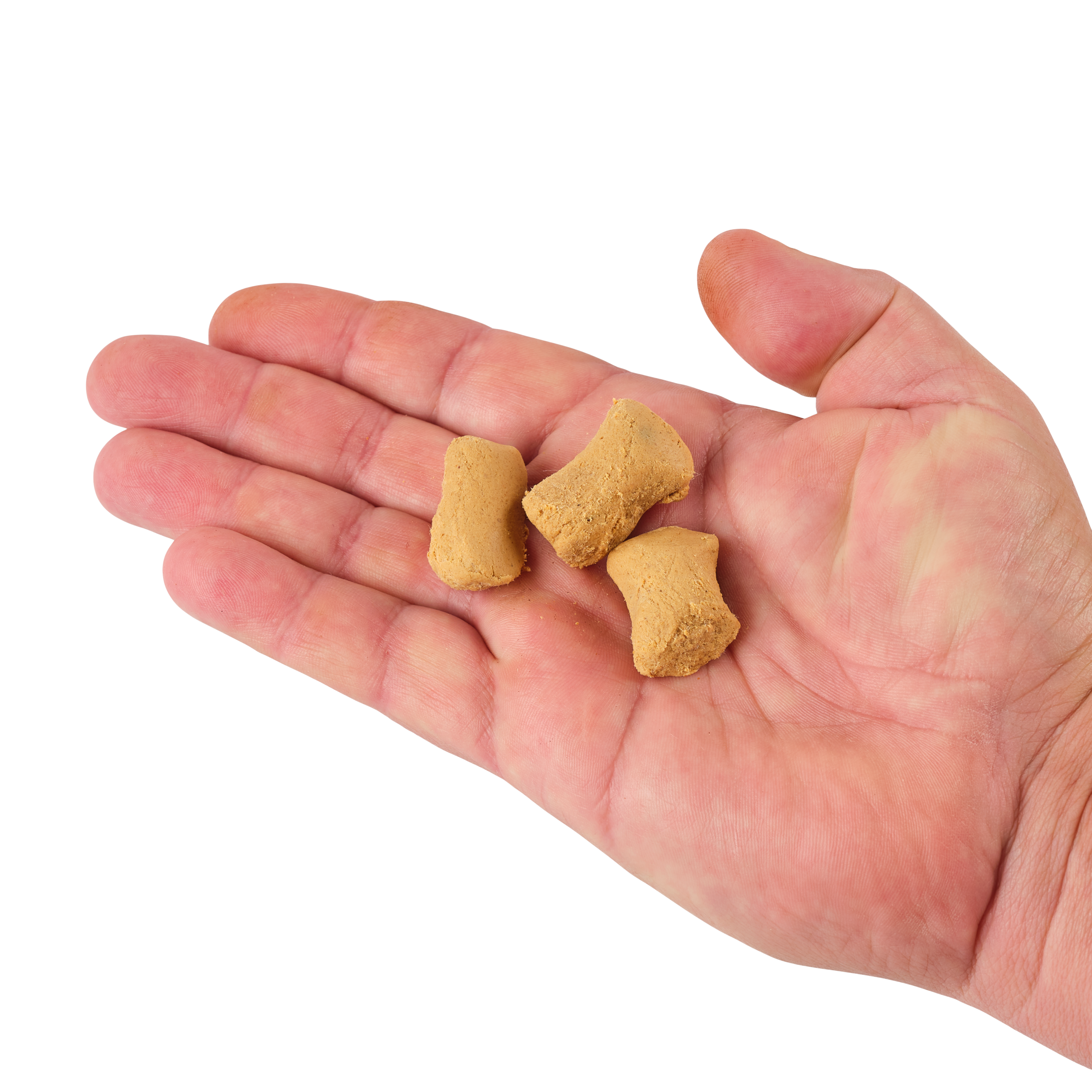 PowerBait? Catfish Bait Chunks - Image 13