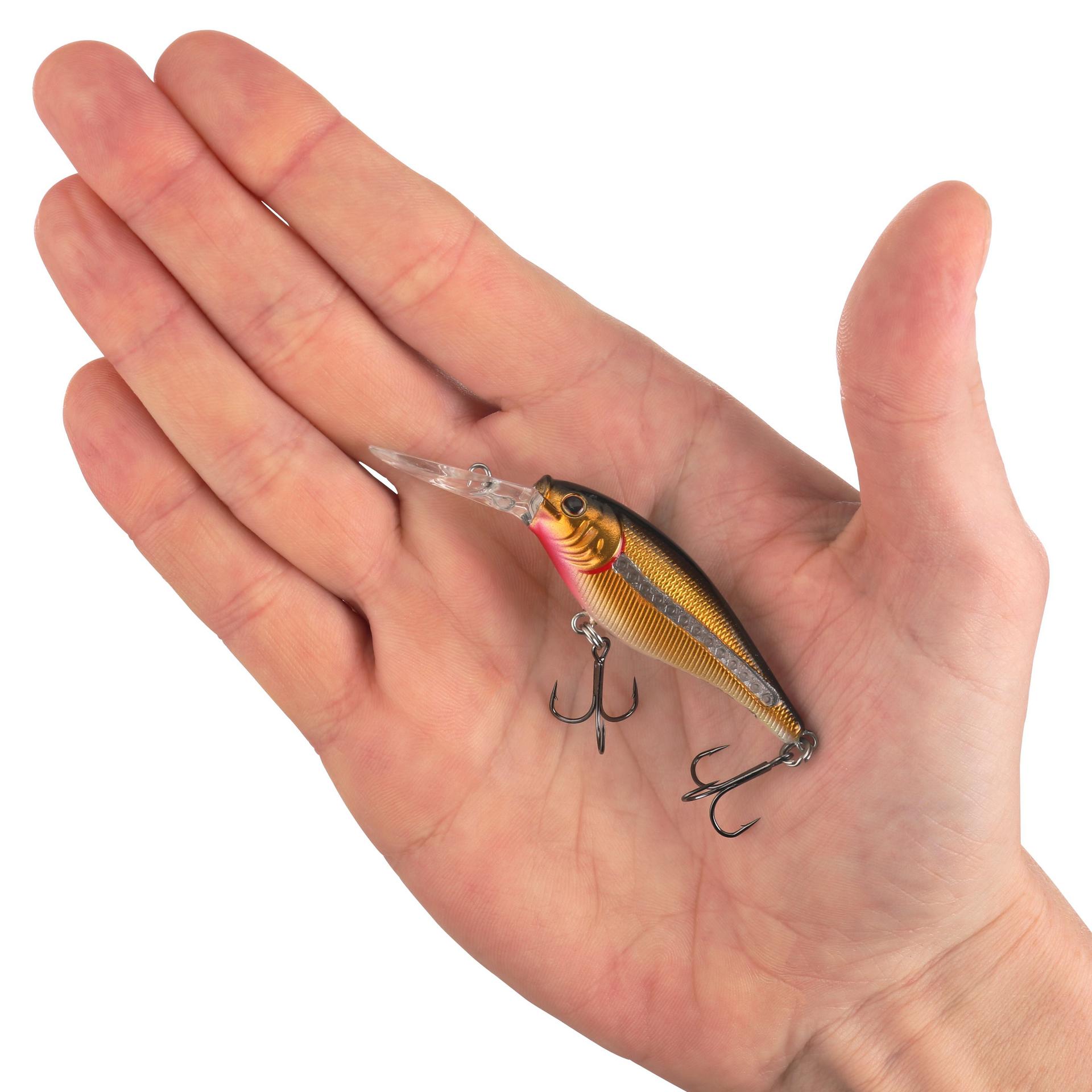 Scented Flicker Shad? - Image 32
