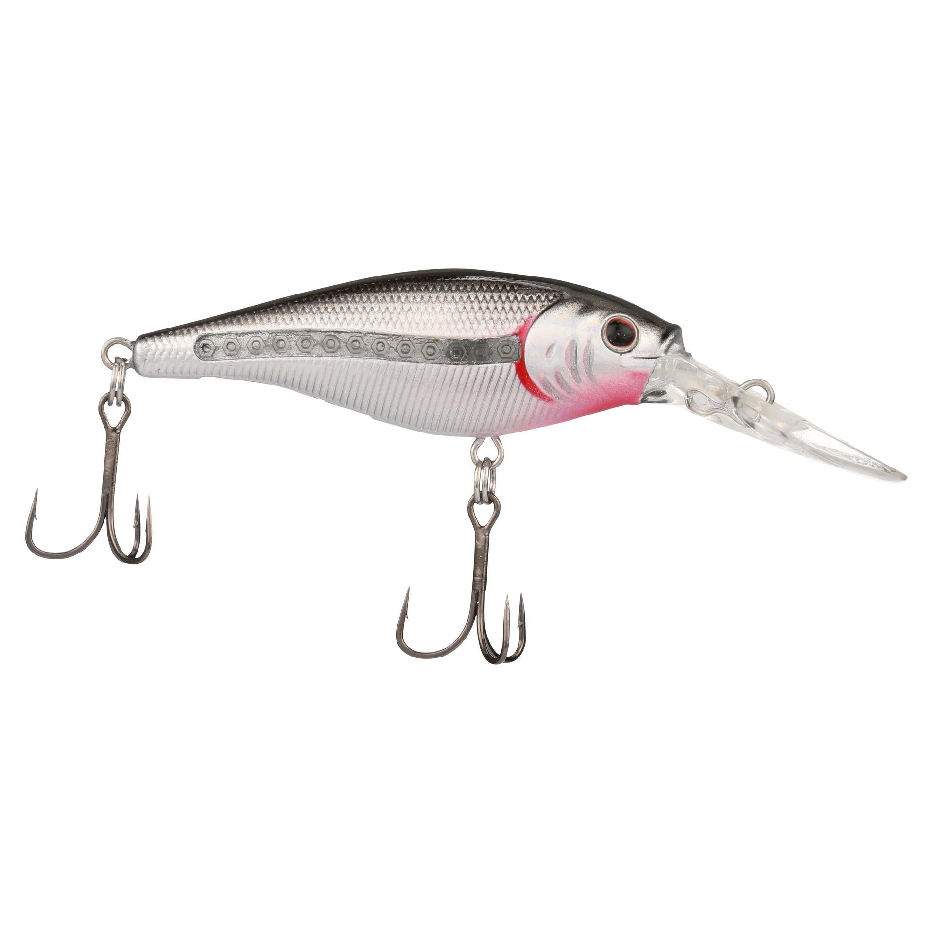 Scented Flicker Shad? - Image 6