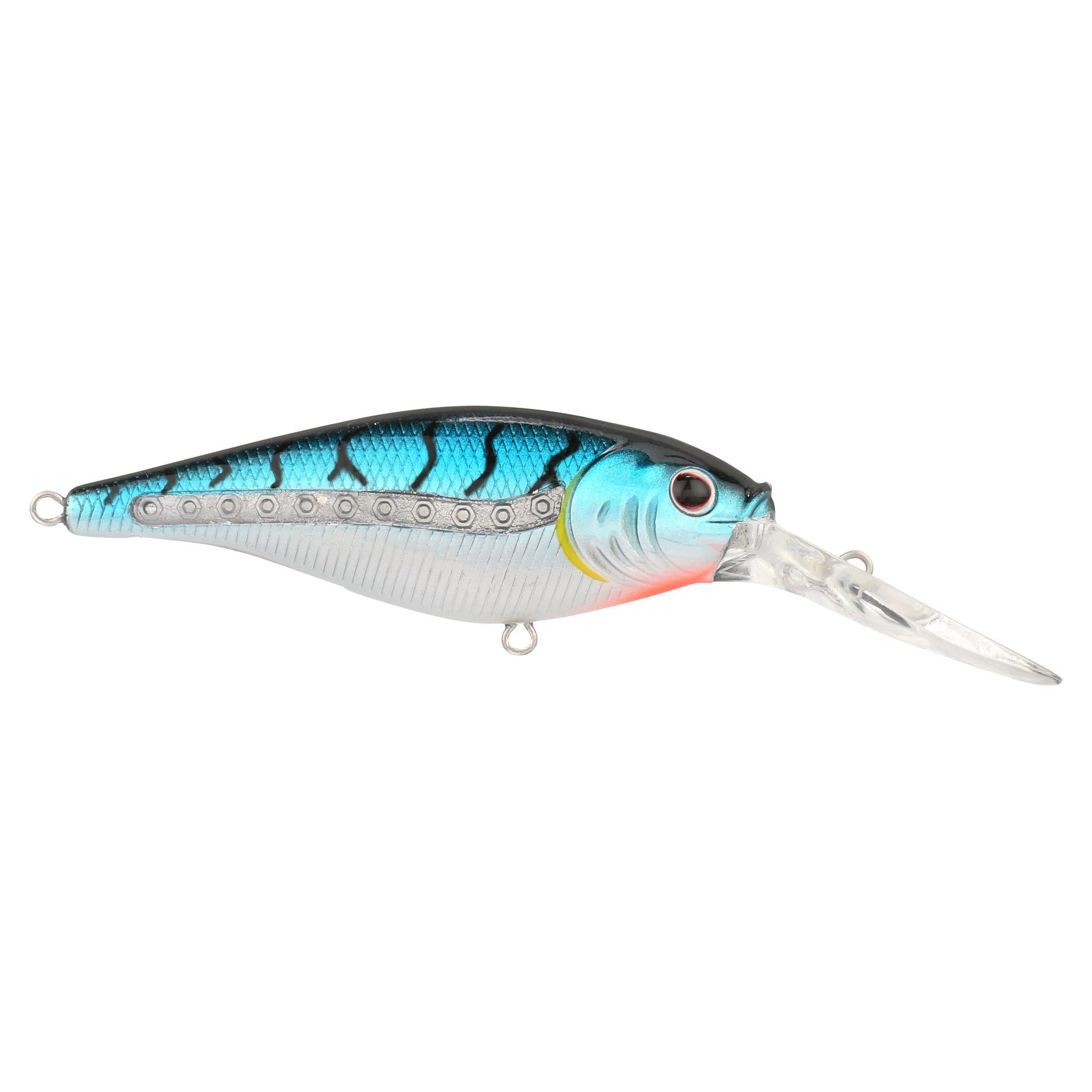 Scented Flicker Shad? - Image 65