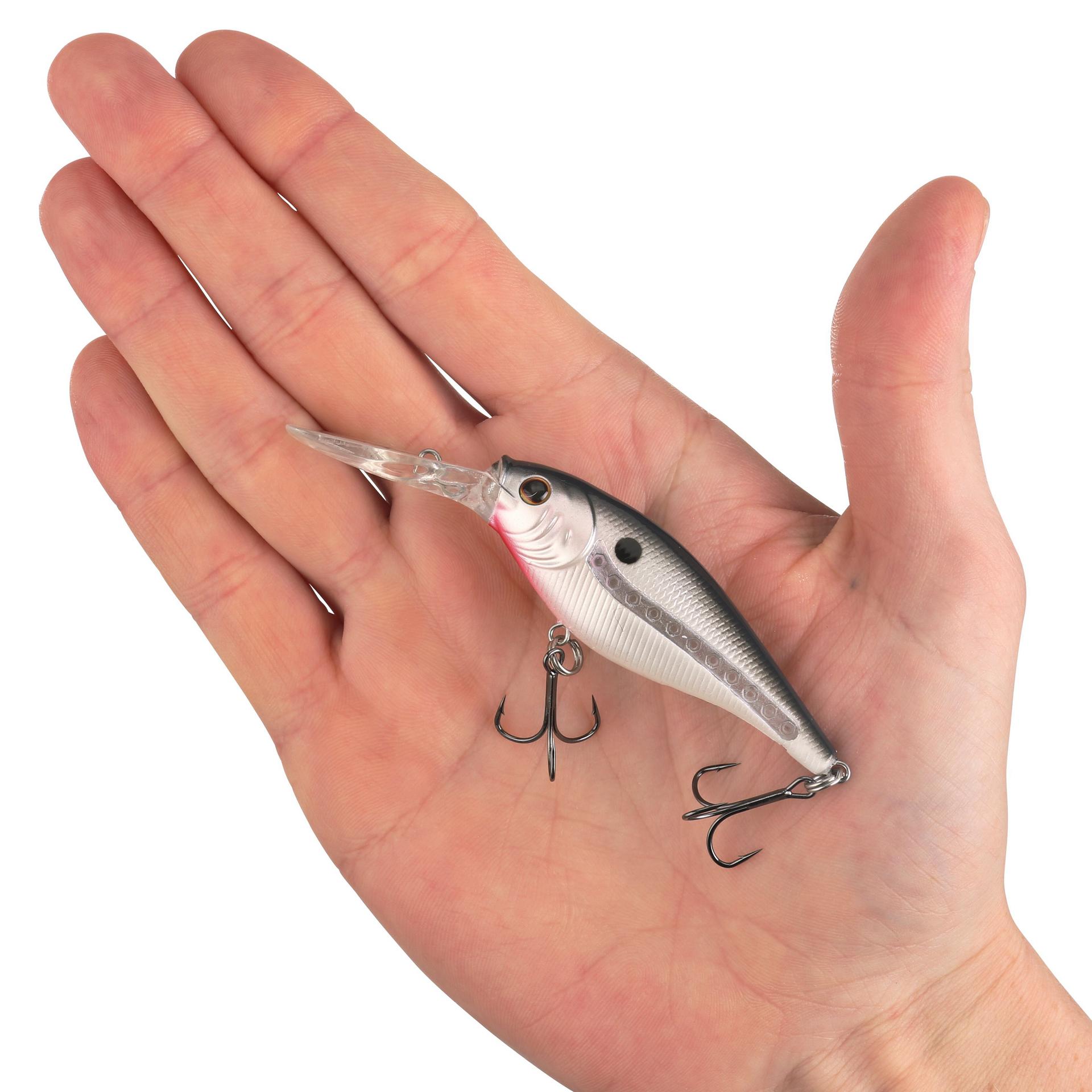Scented Flicker Shad? - Image 67