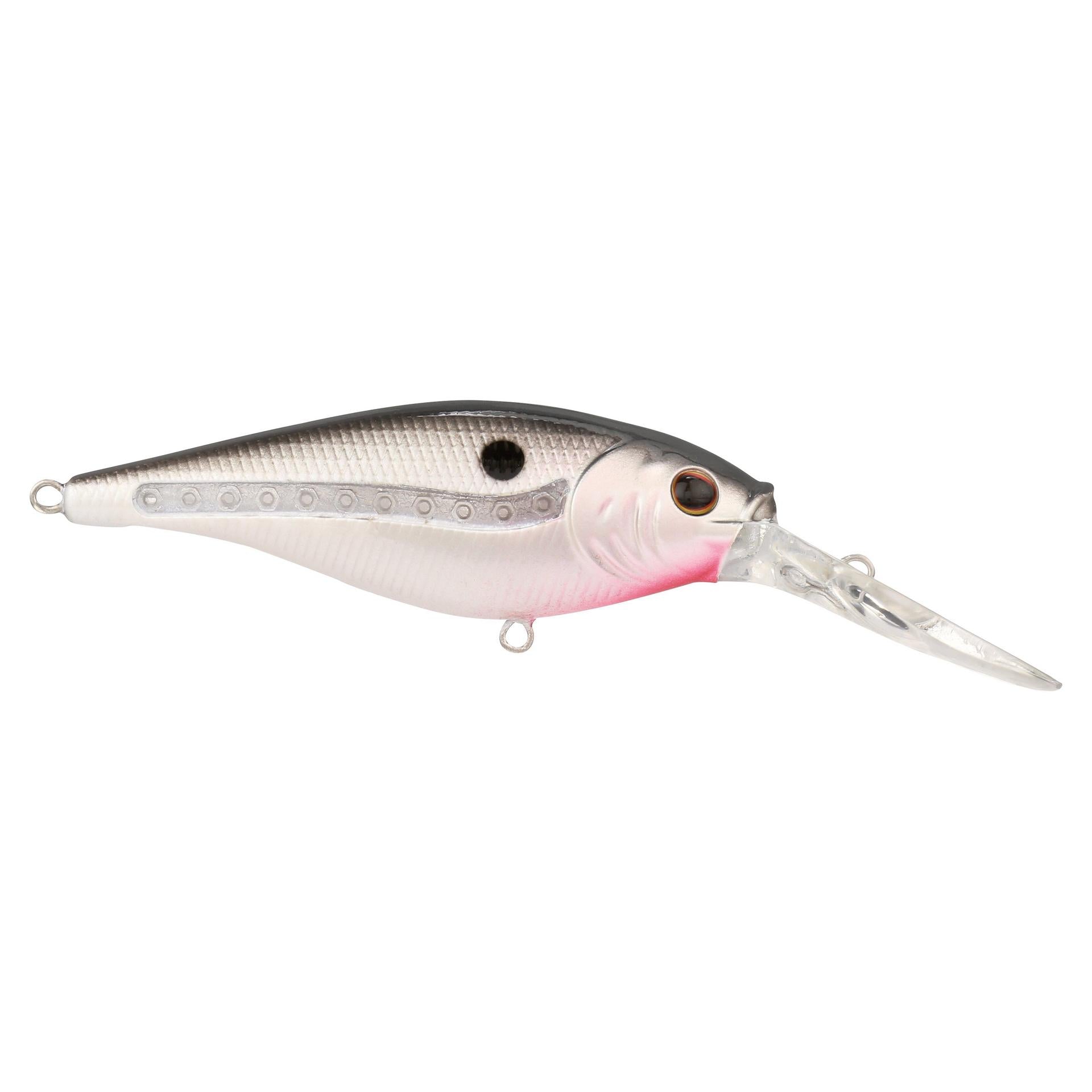 Scented Flicker Shad? - Image 70