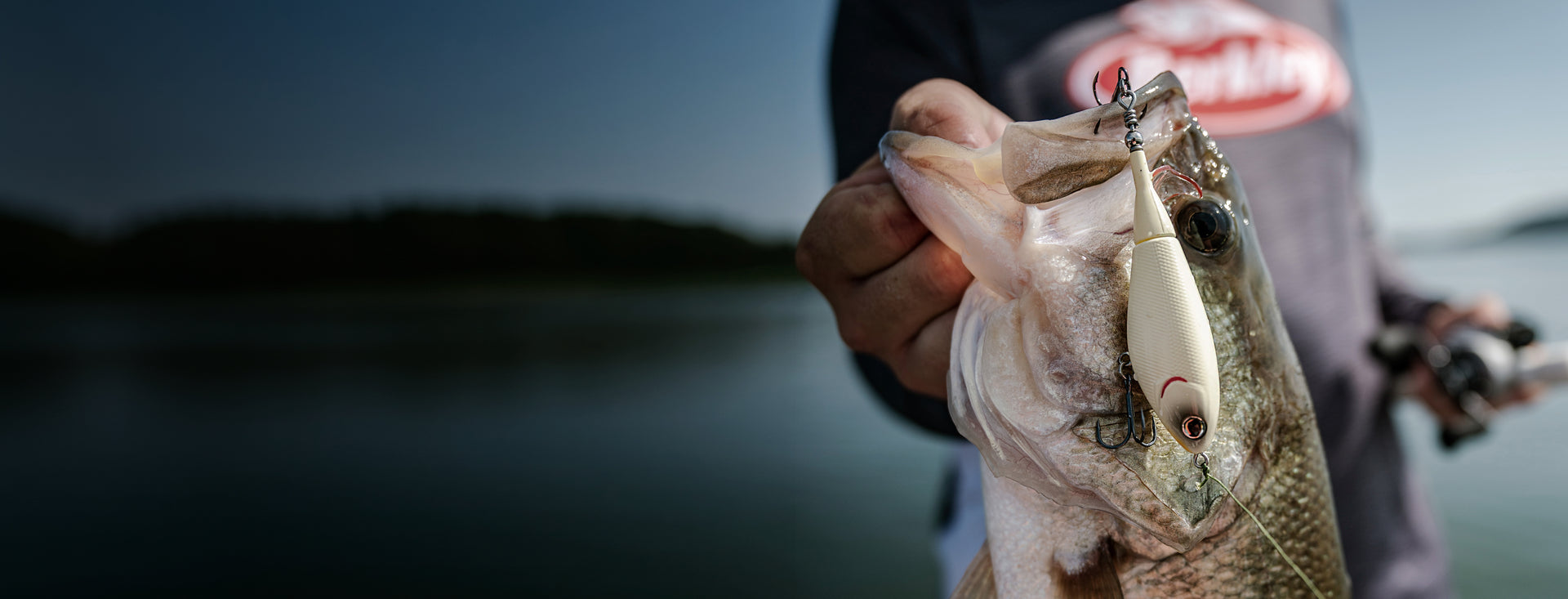 Berkley Hard Baits Banner Desktop