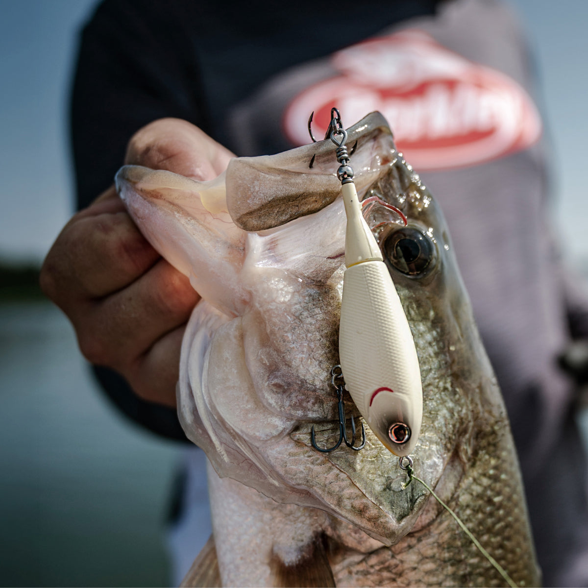 Berkley Hard Baits Banner Mobile